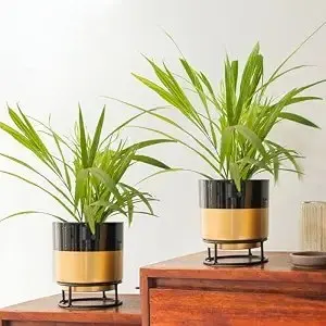 Kraft Seeds 10CLUB Decorative Metal Planter with Stand | Rust-Free, Drainage Hole | Indoor/Outdoor |
